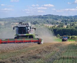 Žně z pohledu regionů ASZ - 20. července 