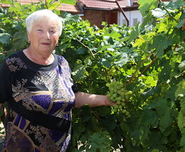 Anežka Chocholáčová: Vesnice si moc zvykla na pohodlí