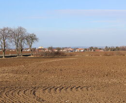 Škod v zemědělství bylo loni meziročně až o polovinu víc, dosahují miliard Kč