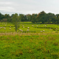 Statek Počepických