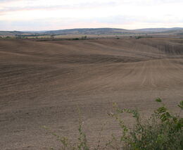 Proč omezovat dotace? Kvůli výhodám z velikosti