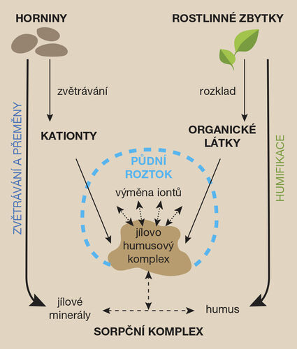 Obrázek 1