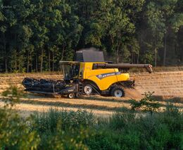 VIDEO: Žně jsou ideální dobou pro fotografy a kameramany  