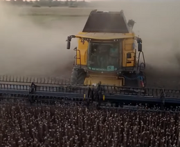 VIDEO: Ze sklizně máku na Náchodsku  