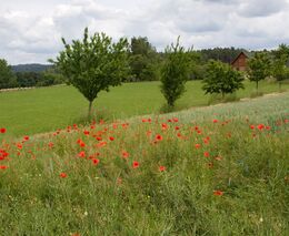 Pozvánka na Den otevřených dveří na Biofarmě Sasov