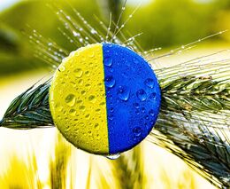 Týden v zemědělství podle Petra Havla – č. 22