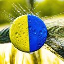 Pracovnímu trhu hrozí velká ztráta. Statisíce Ukrajinců nevědí, co s nimi bude