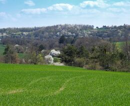 Aktuální stav administrace rozhodnutí a plateb Jednotné žádosti 2023 k 30. 4. 2024
