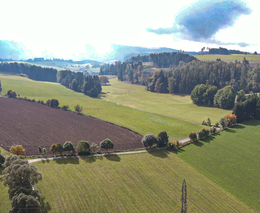 Krajinné prvky. Chce je vůbec někdo?