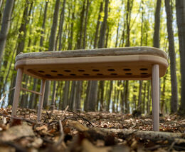 Univerzita otevře tři nové studijní programy