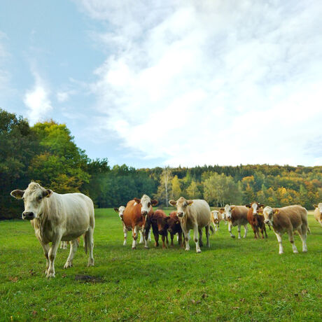 Bio farma Bedřichov