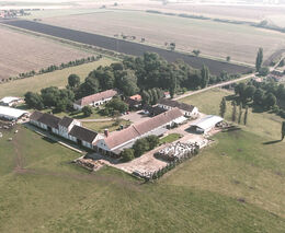 Dvůr Havransko - držitel zlaté medaile v programu ASZ ČR Pestrá krajina 