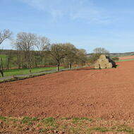 ‚Značná část škůdců pomřela.‘ Zemědělci na Vysočině si pochvalují zimu