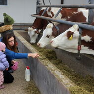 Podcast | Šebek: Nelžeme si do kapsy, že nová vláda bude podporovat malé a lokální farmy