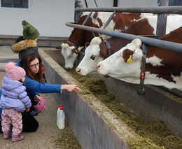 Podcast | Šebek: Nelžeme si do kapsy, že nová vláda bude podporovat malé a lokální farmy