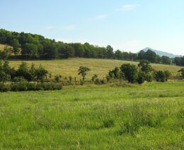 Pozvánka na školení: Přechod na regenerativní zemědělství
