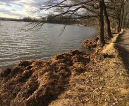 Zdravá půda – náš odkaz dalším generacím II 