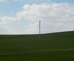 Jak na zalesňování zemědělských půd? – I. díl 