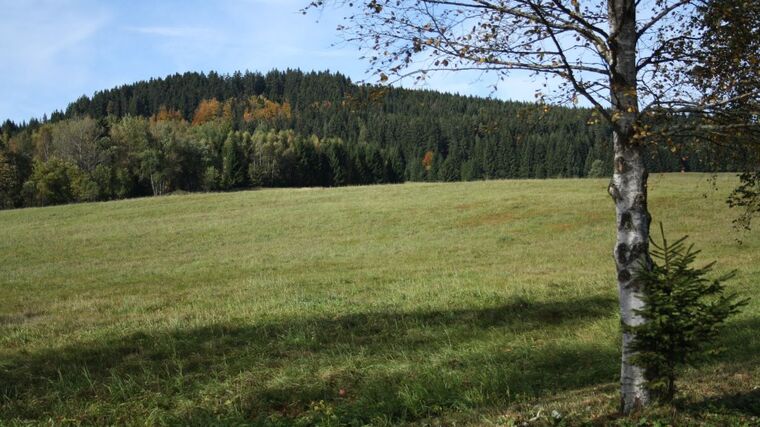 Ochranáři vracejí Vysočinu přírodě. Kupují pozemky a chystají směs místního lučního osiva