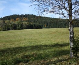 Ochranáři vracejí Vysočinu přírodě. Kupují pozemky a chystají směs místního lučního osiva