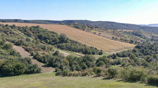 Co Alenka nalezla za zrcadlem aneb Etnologové v útočišti selského rozumu IV.