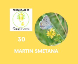 V rámci projektu Živá půda jsme vytvořili jednoduchá opatření s cílem zlepšit stav půdy a krajiny