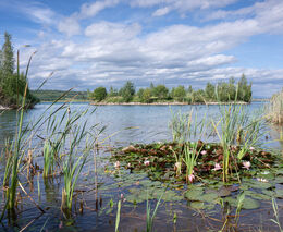 Metodika snižování zátěže povrchových vod