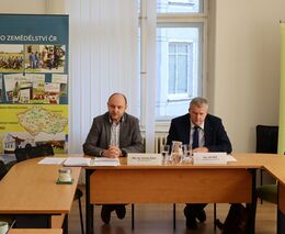 Cíle by pomohlo splnit povinné zastropování