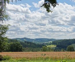 Pozvánka na seminář „Jak na zdravou krajinu na Vysočině“