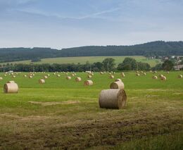 Fialova vláda udělala pro sedláky hodně. Na deagrofertizaci si ale netroufla