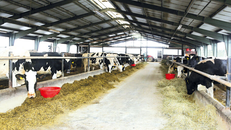 V souvislosti se SLAK požádala ASZ ČR o minimalizaci fyzických kontrol na farmách