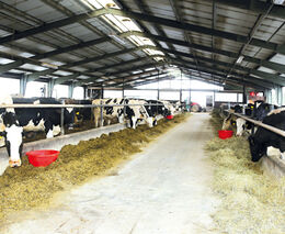 V souvislosti se SLAK požádala ASZ ČR o minimalizaci fyzických kontrol na farmách