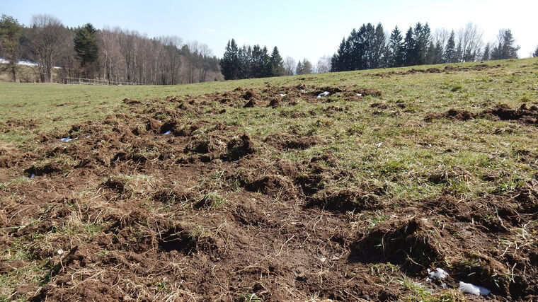 Zdravá půda – náš odkaz dalším generacím IX