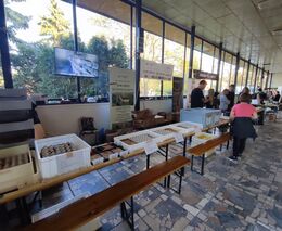 SVZH pořádá propagaci hmyzu v ZOO Praha