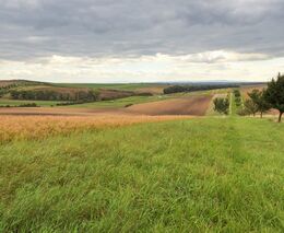Pozvánka na konferenci „Zemědělci zemědělcům“