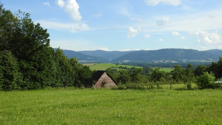 Ochrana přírody není jen otázkou biodiverzity, ale i klimatické bezpečnosti. Ukazují to české louky