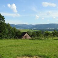 Ochrana přírody není jen otázkou biodiverzity, ale i klimatické bezpečnosti. Ukazují to české louky