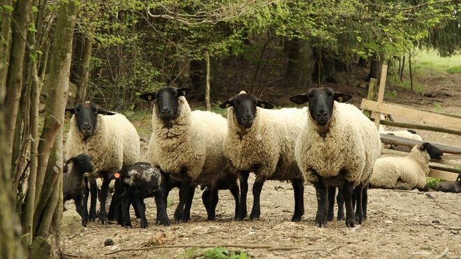 Turistatek Javořice