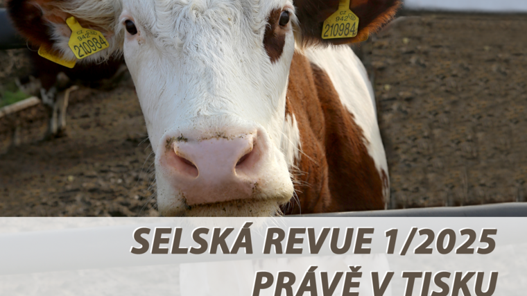 Selská revue č. 1/2025 je již v tisku 