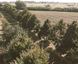 Definice aktivního zemědělce v ČR nesmí vytvářet překážky nad rámec požadavků EU