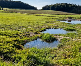Herečka Eva Holubová podporuje program ASZ ČR Pestrá krajina 