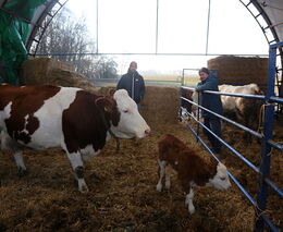 Šimon Marák: sedlačit dnes, to znamená vyrovnávat se nejen s dědictvím komunismu