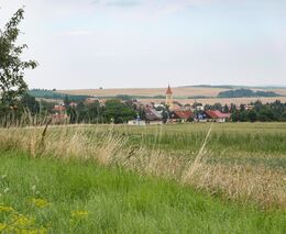 Týden v zemědělství podle Petra Havla - č. 30
