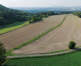 ZAzemí, z.s. – stříbrná medaile v programu Pestrá krajina 2024