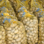 Rodinná farma Pavla Dudy