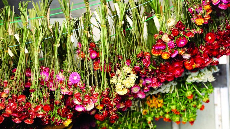 Den otevřených dveří na biofarmě VITENPLANT