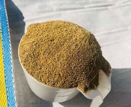 DDGS sušené kukuřičné lihovarské výpalky