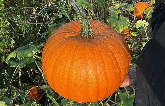 Rodinná farma Laloučkovi