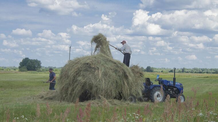 Chybí muži, odešli bojovat. Příliv uprchlíků zemědělství výrazně nepomohl