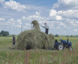 Zaměstnávání cizinců v zemědělství v roce 2025